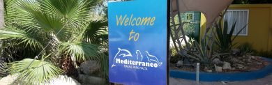 mediterraneo-marine-park-malta